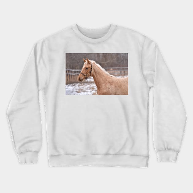 TB COLT Crewneck Sweatshirt by theartsyeq